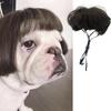 Pelucas para Perros, Pelucas para Mascotas, Pelucas para Gatos, Suministros para Mascotas Transfronterizos, Accesorios de Halloween para Mascotas