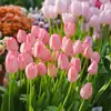 Resistencia al FríoTulipán Holandés Hidropónico Planta de Floración Cuatro Estaciones Planta Verde Flores en Maceta para Sala de Estar Apto para Principiantes