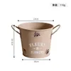 Maceta de hierro con asa binaural redonda americana, maceta carnosa para flores, maceta verde para plantar en el balcón, cubo pequeño de hierro, cubo para flores, cubo para almacenamiento en el hogar.