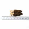 250g de Cogumelos Morel Secos, Cogumelos Frescos Semisselvagens Cultivados na Natureza em Yunnan, Adequados para Sopa, Grossos e Carnudos, Cogumelos no Atacado