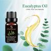 Óleo Essencial Único Massagem Salão de Beleza Transfronteiriço Aromaterapia Rosa Lavanda Aromaterapia Vela Aromática Óleo Essencial DIY