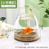 Vaso de Vidro Transparente Curto de Boca Larga Estilo Ins Decoração de Nicho Enfeites Sala de Estar Arranjo de Flores Estilo Japonês Estilo Simples Enfeites