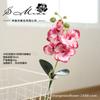 Novo filme de impressão 3D com frutas 5 flores borboleta orquídea fornecimento direto da fábrica planta decoração de interior flores artificiais