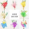 Mini Ramos de Flores, Flores Preservadas, Gypsophila (Aliento de Bebé), Flores Secas, Regalos Navideños, Flores Hechas a Mano al por Mayor de Fabricantes
