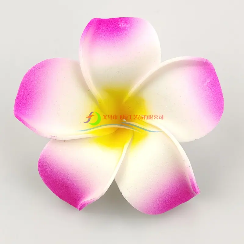 彩色鸡蛋花