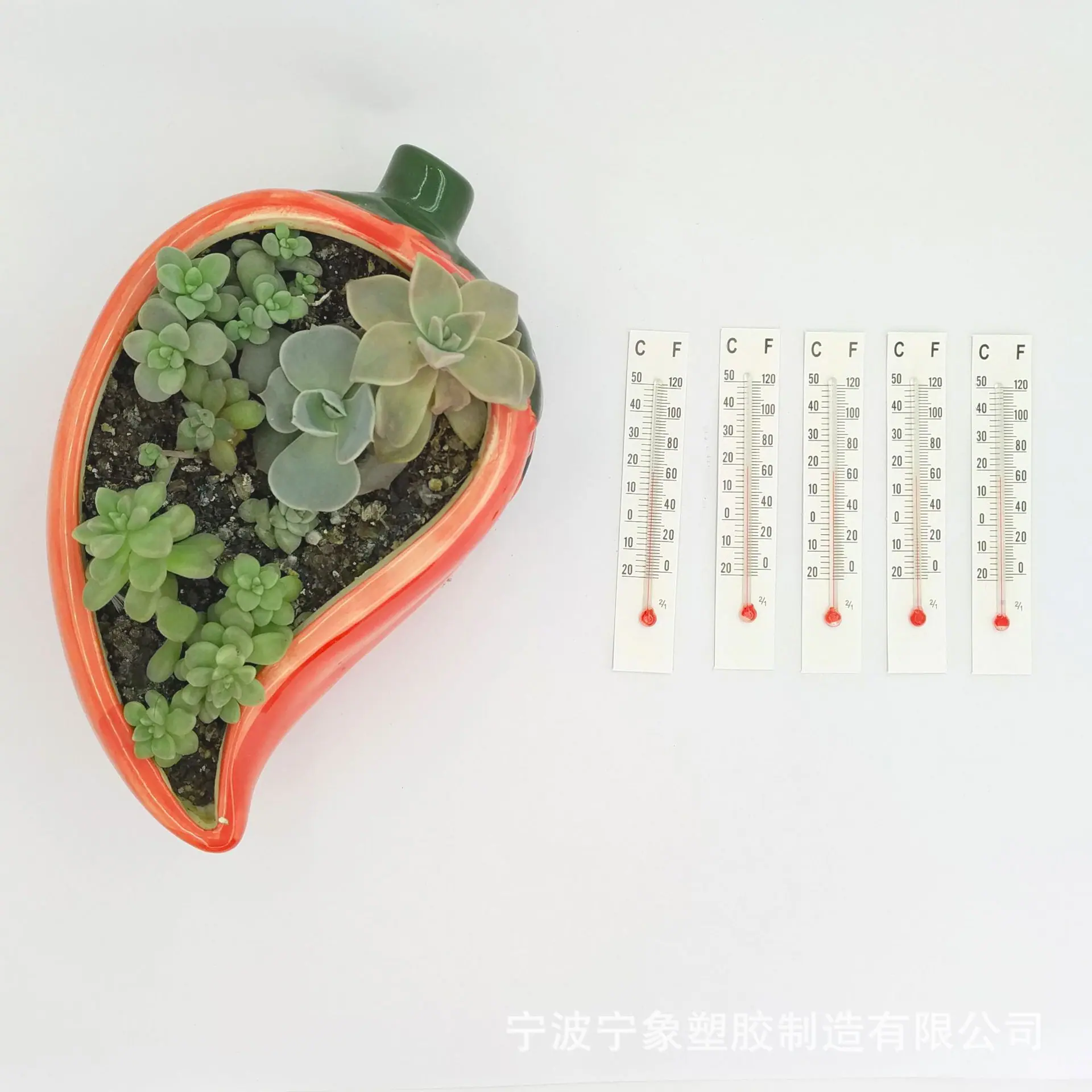 纸板8.0