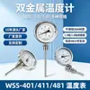 Em Estoque Termômetro Bimetálico WSS Axial Radial Aço Inoxidável 304 Instrumento de Exibição de Temperatura Local para Tubulação Industrial