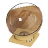 Ninho de Gato Cápsula Espacial com Cabine de Acrílico, Adequado para Todas as Estações, Ninho de Gato de Verão, Cama Brinquedo para Gatos Tudo-em-Um, Preço de Atacado de Fábrica