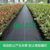 Tela anti hierba directa de fábrica tela para deshierbar tela para almohadilla de deshierbe tela para jardinería clavos de plástico tela para suelo clavos