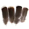 80 Tipos de Penas Naturais de Faisão, Penas Reais, Decorações Nativas Americanas, Acessórios DIY, Acessórios de Cabelo, Peças para Brinquedo de Vara para Gato