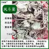 Columbina Serpiente de Viento Hierba Cabeza de Serpiente Reloj de Agua Cabeza Fluyente Calabaza de Arroz Silvestre Calabaza Sanchi Calabaza Silvestre Cabeza de Calabaza Dorada Silvestre