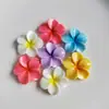 Nuevo Plumeria Colorido Pegamento en Crema DIY Accesorios para Funda de Teléfono Agujero para Pasador Hebilla de Zapato Imán para Nevera Decoración Venta al por Mayor