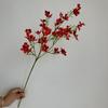Nova flor artificial multi-cabeça alta ramo de madeira fragrância pequena flor silvestre casamento salão de casamento fundo garrafa macia exibição de flores comércio exterior