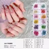 Conjunto de Caixa com 12 Compartimentos para Flores Secas de Nail Art Kit DIY Adesivos de Unha Estilo Japonês com Gypsophila, Narcisos e Margaridas Pequenas Decorações de Unha Venda por Atacado