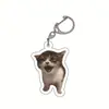 Llavero Acrílico Gato Banana Feliz Gato Feliz Transfronterizo Llavero Emoji Cabeza de Gato Comida Divertido