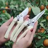 Tijeras de podar de acero inoxidable para recoger frutas, flores y árboles, tijeras de jardinería para injertar ramas de árboles frutales y flores, herramientas de jardinería