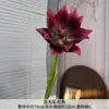 Flores Artificiais para Casamento em Tons Vermelhos, Balões de Hortênsia para Casamento, Decorações de Festa, Painéis de Flores Artificiais, Arranjos para Corredor e Materiais Florais
