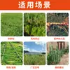 Herbicida Ping'An Sal de Amônio de Glifosato 20% para Pomares, Terrenos Baldios e Controle de Ervas Daninhas, Forte Pesticida Destruidor de Raízes