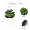 Más de 100 Tipos de Combinaciones de Plantas Suculentas Mini de Plástico Simuladas en Maceta, Mini Bonsáis Suculentos Más Vendidos Transfronterizos, Decoración para el Hogar, Adornos Creativos