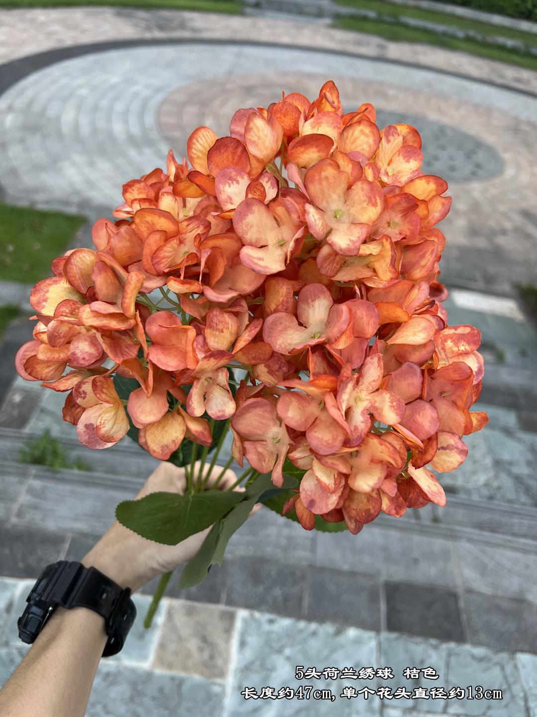 微信图片_20230612114551.jpg
