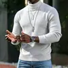 Suéter Cálido de Punto para Hombre Otoño/Invierno Estilo Coreano Corte Delgado Color Sólido Cuello Alto Prenda Base de Punto Ropa Interior Línea de Ropa
