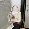 Bolsa pequena de nicho feminina, primavera e verão 2025, nova bolsa pequena transversal com texto de alto valor, design de bolsa de biscoito portátil
