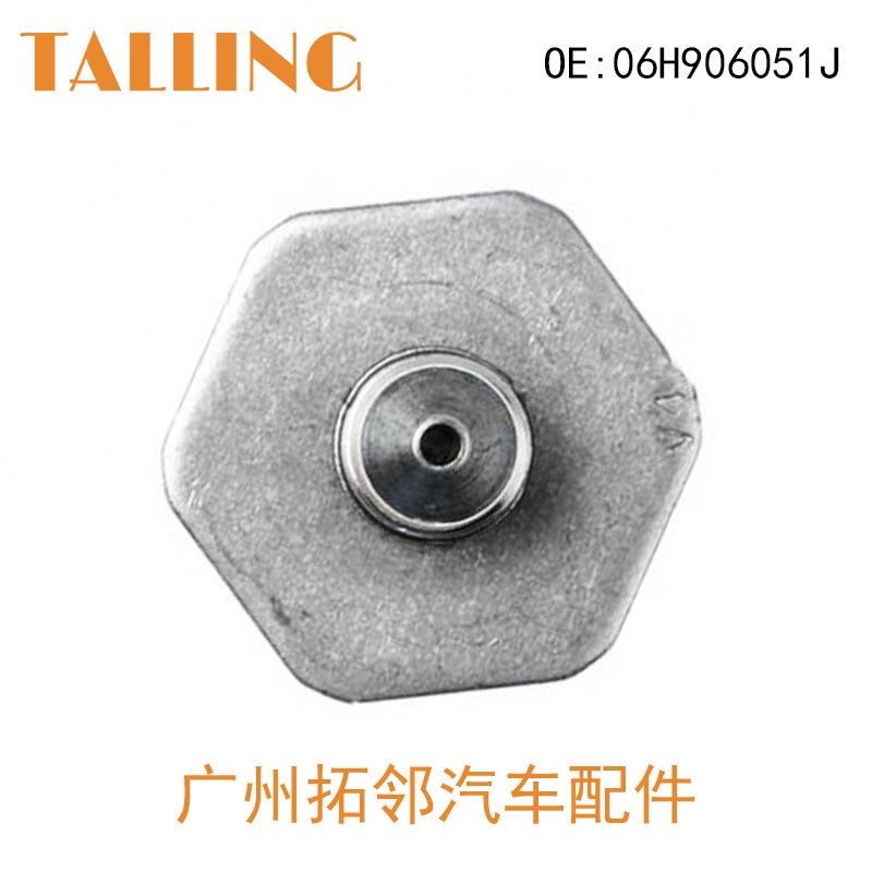 06H906051J (3)