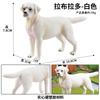 Modelo de Animal Selvagem Artificial Sólido para Crianças Bulldog Doberman Husky Corgi Shiba Inu Brinquedo de Cachorro de Estimação