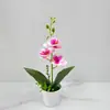 Flores de Phalaenopsis Simuladas 3 Flores en Maceta Oficina Sala de Estar Arreglo Floral de Escritorio Bonsái Fotografía Adornos de Flores Falsas de Plástico