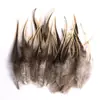 80 Tipos de Penas Naturais de Faisão, Penas Reais, Decorações Nativas Americanas, Acessórios DIY, Acessórios de Cabelo, Peças para Brinquedo de Vara para Gato