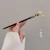 Antigo High-end Tassel Hair Hairpin Mulheres Novo Chinês Disco de Madeira Hairpin Estilo Nacional Hanfu Walking Hair Hairpin Headwear