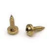 Tornillos Autorroscantes Personalizados No Estándar con Ranura de Flor de Ciruelo, Tornillos de Cabeza Disco con Punta Cónica de Latón, Tornillos Autorroscantes de Cobre Puro Antirrobo