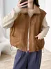 Chaqueta Corta sin Mangas de Lana de Cordero con Cuello Estilo Coreano para Mujer Otoño/Invierno Chaleco Acolchado de Aspecto Súper Bueno Ropa de Algodón Capa para Hombro