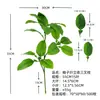 Decoraciones de Plantas Verdes Artificiales para Decoración del Hogar, Accesorios de Ingeniería, Plantas de Fábrica, Hojas Falsas de Pomelo, Hojas de Kumquat, Hojas de Brotes, Hojas de Rama Alta