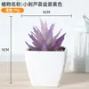 Plástico Fleshy Simulado Bonsai Decoração de Escritório Mesa Pequenos Enfeites Fleshy Adereços de Foto Flores Artificiais Falsas