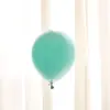 Globos Macaron de Doble Capa de 10 Pulgadas al por Mayor Transfronterizos Látex Engrosado Color Caramelo Set de Globos para Decoración de Fiesta