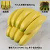 2 piezas Racimo de Plátanos Realista Modelo de Fruta Plátano de Hainan Decoración de Vitrina Gabinete Exhibición Accesorio de Fotografía