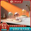 Árbol de Energía de Grava de Cristal Adorno de Tapa de Vidrio Decoración Cumpleaños Cumplimiento de Deseos Cristal Blanco Amatista Citrino Lapislázuli