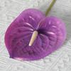 Sinta fogo de palma vermelha 3D palma de ganso flor artificial planta material de flor de casamento decoração de casamento arranjo de flor artificial fábrica atacado