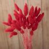 Liquidação E-commerce Transfronteiriço Comércio Exterior Atacado Flores Secas Coloridas Tingidas Capim Rabo de Coelho Arranjo de Flores para Vaso de Pequeno Buquê DIY Combinação