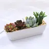 Kit de Material DIY para Suculentas Xianci Conjunto de Plantas Suculentas para Micro Paisagismo Vaso de Porcelana Branca Planta em Vaso Pequeno Evento de Feriado