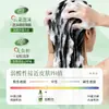 Baizhentang Platycladus orientalis aloe vera shampoo limpo e macio atacado refrescante e macio cabelo liso cuidado com cabelo sedoso