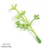 Plantas Verdes Artificiales, Plantas Acuáticas, Moras Silvestres, Fruta de Mimosa, Plantas Falsas, Ramillete, Ramo, Accesorios Decorativos, Materiales para Manualidades, Hojas