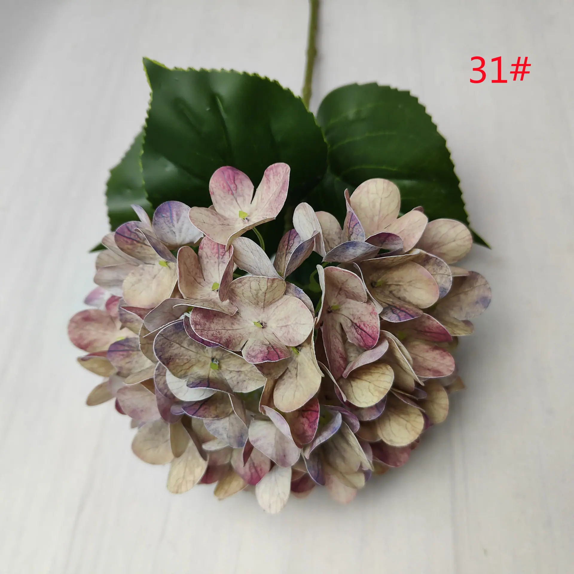 1158_副本