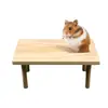 La Fábrica Ha Introducido Nuevas Plataformas de Madera Natural para Hámsteres y Chinchillas, Áreas de Descanso para Animales Pequeños y 1 Accesorio para Jaula