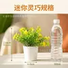 Gipsofila simulada Floral Plástico Pequeña Maceta Adorno de Mesa Regalo Mini Planta Verde Bonsái Temu Planta Simulada