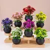 Atacado transfronteiriço de suculentas artificiais, combinações de plantas de mini abacaxi de plástico com formato de coração, flores artificiais, plantas de plástico e itens de decoração para casa