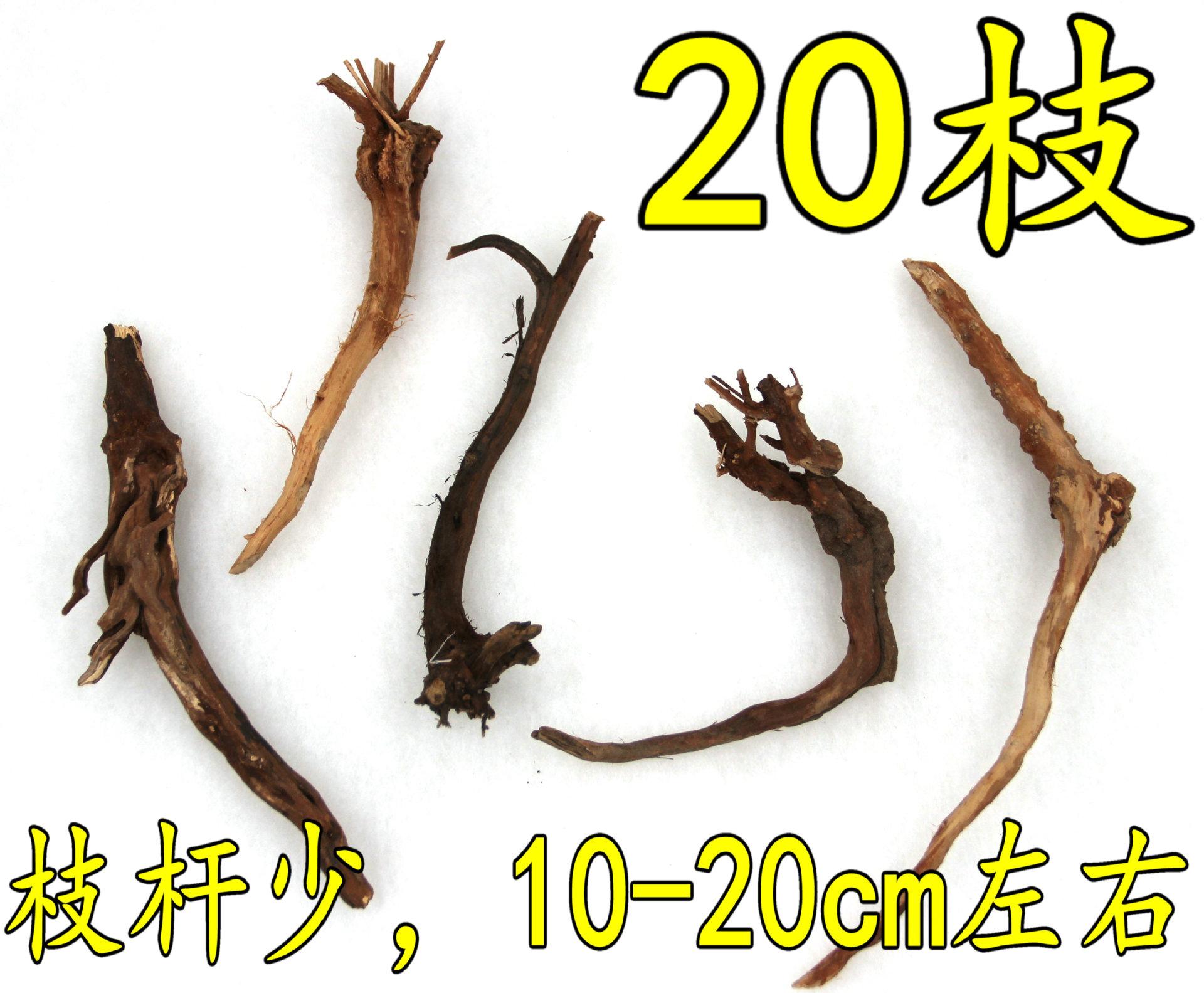 IMG_9837_副本_副本_副本