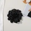 Apliques para ropa, decoraciones para sombreros y accesorios para el cabello, apliques con pedrería, accesorios DIY para sombreros, ropa y zapatos