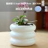 Maceta al por mayor Nuevo estilo Maceta de cerámica Bandeja de cinturón Hogar Phalaenopsis Maceta especial Todo-combinable Europeo Simple Maceta para plantas suculentas